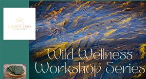 Element Wellness workshop series